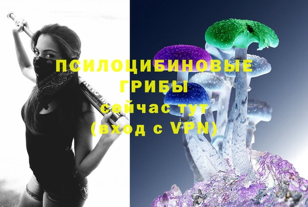 скорость Богородск